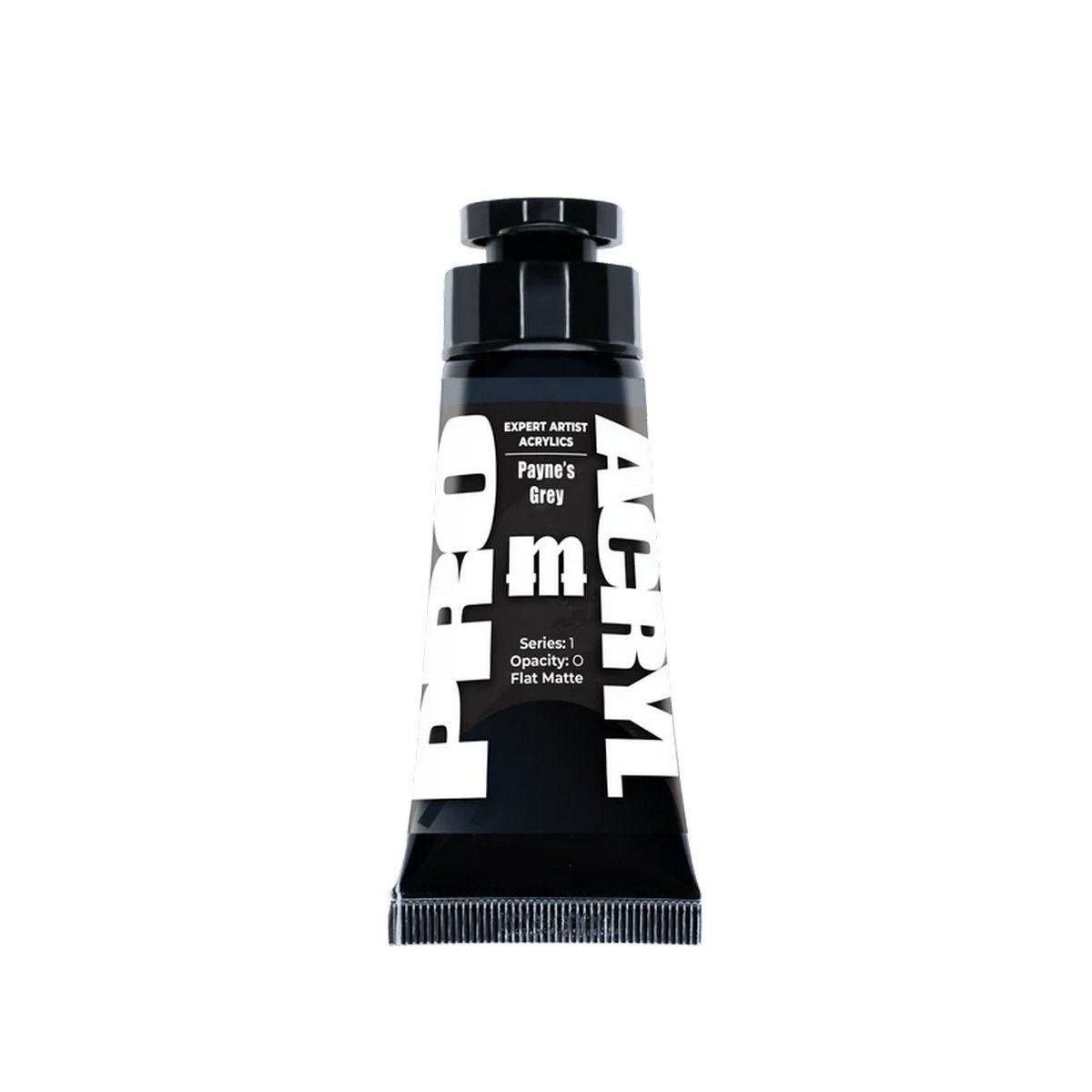 Pro Acryl: Expert Acrylics - Payne's Grey (30ml)